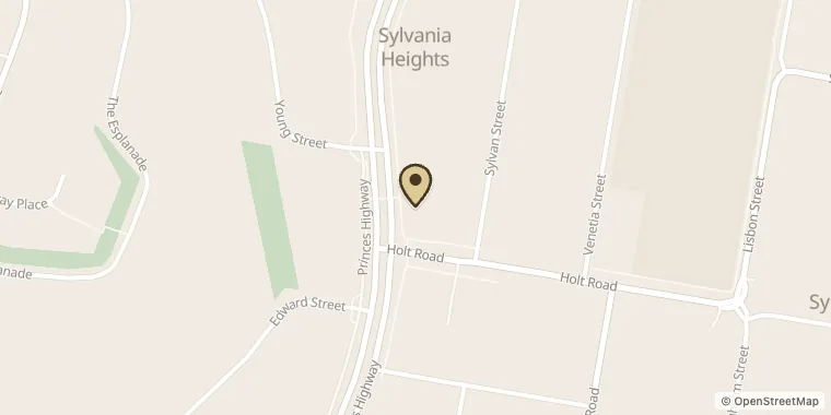 Street map showing Bitolia Flower Boutique at 256A Princes Hwy, Sylvania